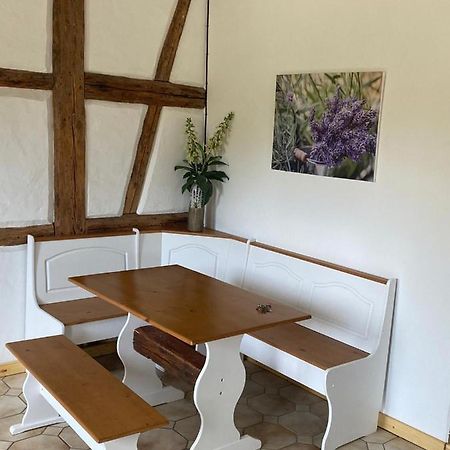 Ferienwohnung Am Gruenen Band, Gretchen Wittingen Ngoại thất bức ảnh