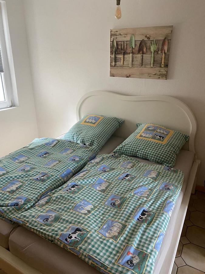 Ferienwohnung Am Gruenen Band, Gretchen Wittingen Ngoại thất bức ảnh